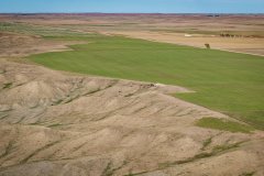 DJI_20251010050006_0608_D_web