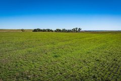 DJI_20251010050840_0634_D_web