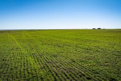 DJI_20251010050842_0635_D_web