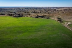 DJI_20251010051121_0642_D_web