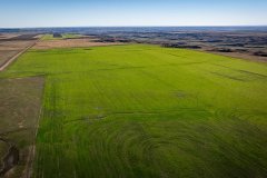 DJI_20251010051245_0647_D_web