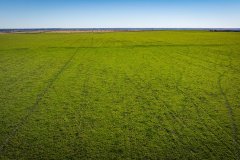 DJI_20251010051413_0652_D_web