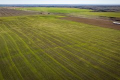 DJI_20251010052710_0682_D_web