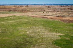 DJI_20251010052725_0684_D_web