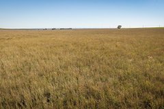 DJI_20251010060036_0697_D_web