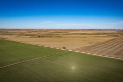 DJI_20251010060413_0708_D_web