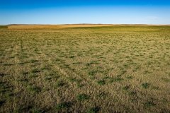 DJI_20251010062212_0753_D_web