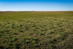 DJI_20251010062215_0754_D_web