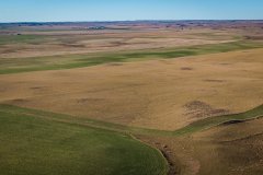 DJI_20251010062619_0763_D_web