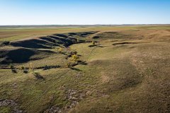 DJI_20251010063131_0775_D_web