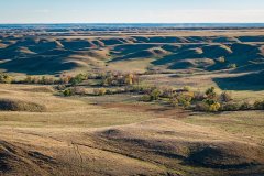 DJI_20251010070709_0824_D_web