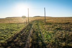 DJI_20251010073238_0871_D_web